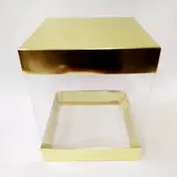 25x25x30 Altın Alt Üst Kartonlu Asetat Kutu - Görsel 1